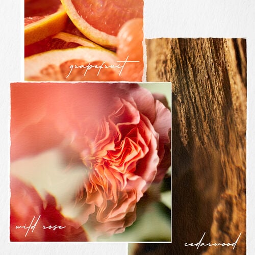 Pure Volume Conditioner - Pureology | L'Oréal Partner Shop