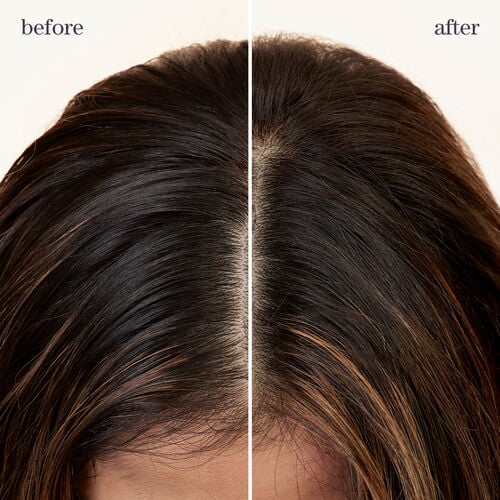 Style + Protect Refresh & Go Dry Shampoo - PUREOLOGY BLACK FRIDAY | L'Oréal Partner Shop