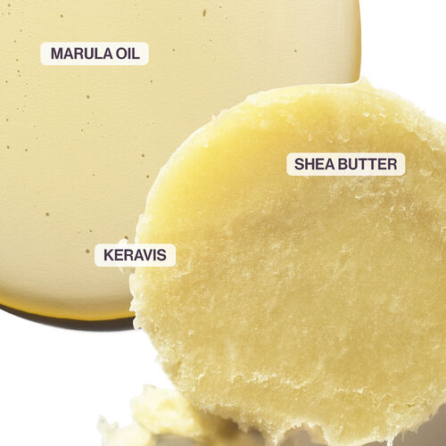 NANOWORKS GOLD HOLIDAY KIT - NEW! Holiday Kits | L'Oréal Partner Shop