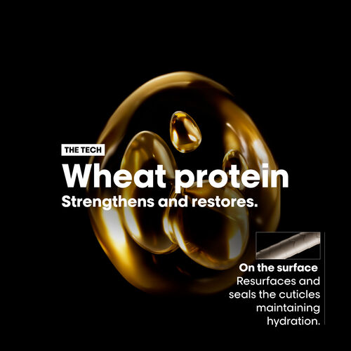 ABSOLUT REPAIR HOLIDAY KIT - NEW! Holiday Kits | L'Oréal Partner Shop