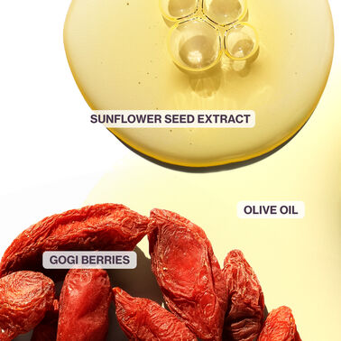 Strength Cure Superfood Treatment - Pureology | L'Oréal Partner Shop