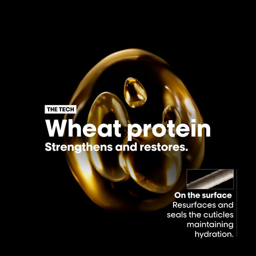 Absolut Repair Conditioner - Serie Expert | L'Oréal Partner Shop