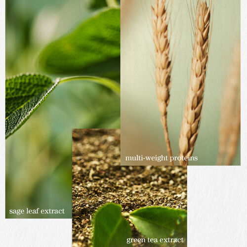 Hydrate Conditioner - Hair Care | L'Or&eacute;al Partner Shop