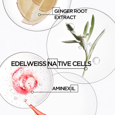 Anti-Breakage Fortifying Treatment Ampoules - Genesis | L'Oréal Partner Shop