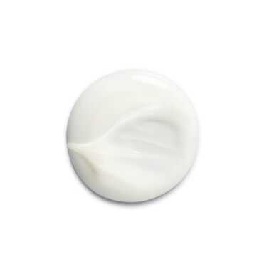 Silk Bloom Restorative Shampoo - Shampoos | L'Oréal Partner Shop
