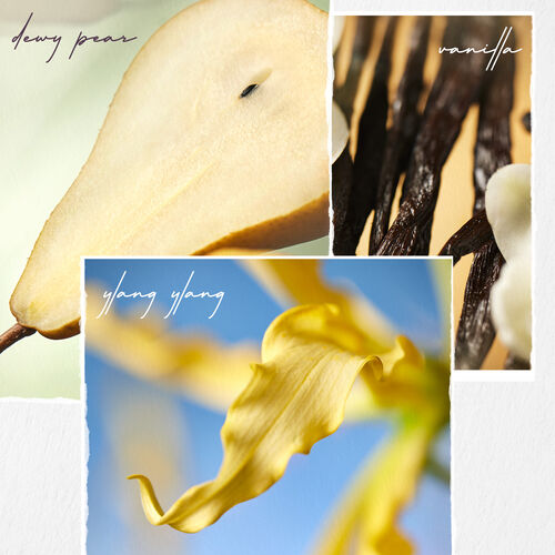 Nanoworks Gold Conditioner - Nanoworks Gold | L'Oréal Partner Shop