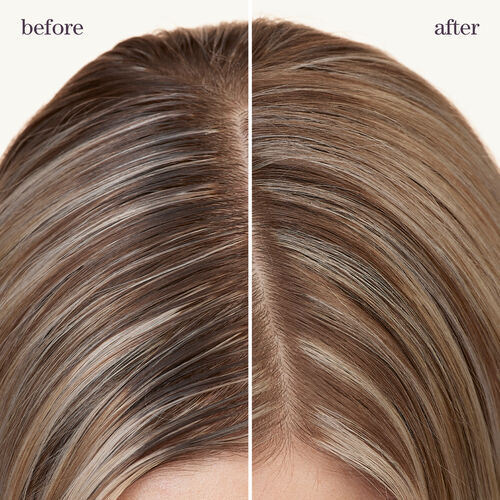 Style + Protect Refresh & Go Dry Shampoo - PUREOLOGY BLACK FRIDAY | L'Oréal Partner Shop