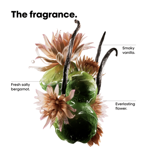 Absolut Repair Molecular Shampoo Refill Kit - Refill | L'Oréal Partner Shop