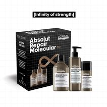 ABSOLUT REPAIR MOLECULAR HOLIDAY KIT - NEW! Holiday Kits | L'Oréal Partner Shop