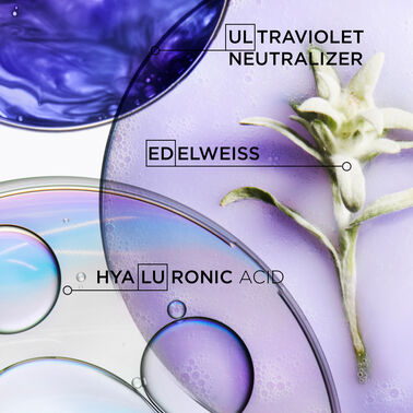 Masque Ultra-Violet Purple Hair Mask - Blond Absolu | L'Oréal Partner Shop