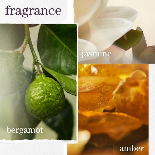 STRENGTH CURE HOLIDAY KIT - NEW! Holiday Kits | L'Oréal Partner Shop