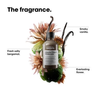 Absolut Repair Molecular Shampoo - Absolut Repair Molecular | L'Oréal Partner Shop