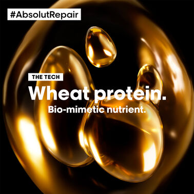 Absolut Repair Mask - Serie Expert | L'Oréal Partner Shop