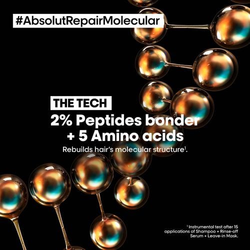 Absolut Repair Molecular - Absolut Repair Molecular | L'Oréal Partner Shop