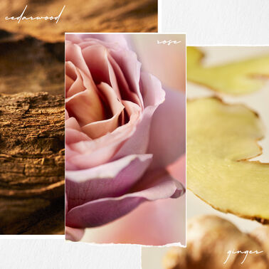 Color Fanatic Multi-Tasking Leave-In Spray - Hair Care | L'Oréal Partner Shop