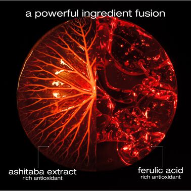 Ashita Supreme Regenerating Treatment - NEW! ashita supreme | L'Oréal Partner Shop
