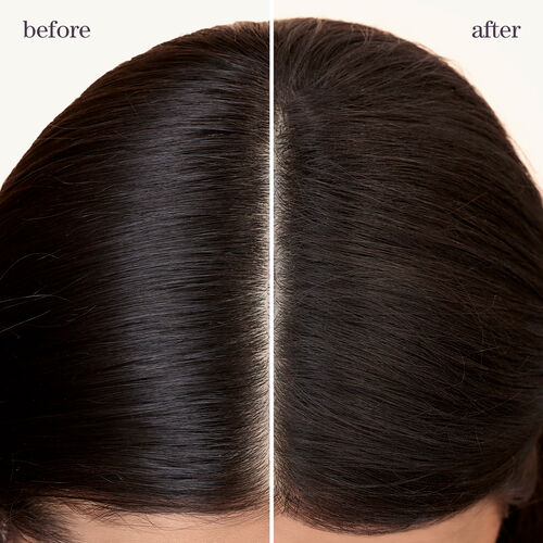 Style + Protect Refresh & Go Dry Shampoo - PUREOLOGY BLACK FRIDAY | L'Oréal Partner Shop