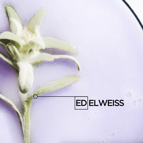 Bain Lumière Shampoo - Shampoos | L'Oréal Partner Shop