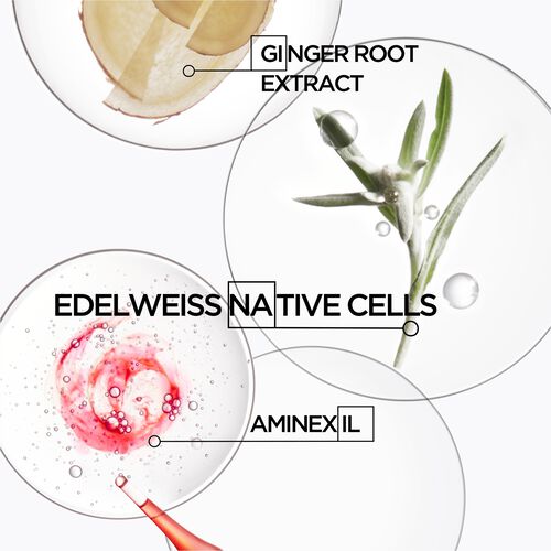 Bain Hydra-Fortifiant Shampoo - Refill | L'Oréal Partner Shop