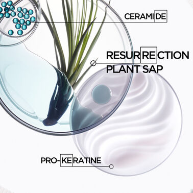 Masque Force Architecte Hair Mask - Resistance | L'Oréal Partner Shop
