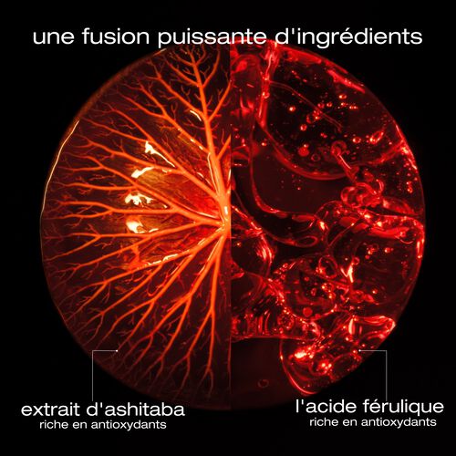 Revitalisant R&eacute;g&eacute;n&eacute;rateur Ashita Supreme - ashita supreme | L'Or&eacute;al Partner Shop