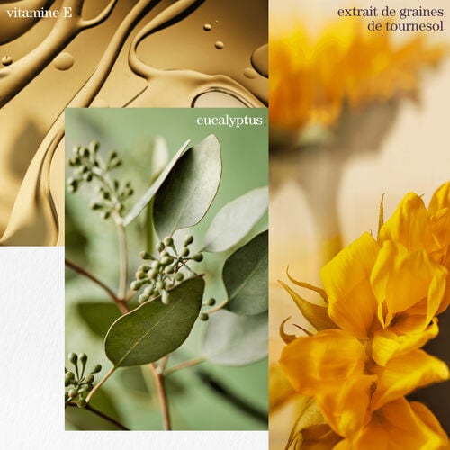 REVITALISANT PURE VOLUME - VENDREDI FOU PUREOLOGY | L'Oréal Partner Shop