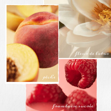 REVITALISANT STRENGTH CURE - PUREOLOGY | L'Oréal Partner Shop
