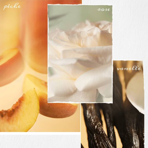 SHAMPOOING STRENGTH CURE BLONDE - VENDREDI FOU PUREOLOGY | L'Oréal Partner Shop