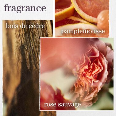 Coffret de printemps Pure Volume - NOUVEAU! Coffrets De Printemps | L'Oréal Partner Shop