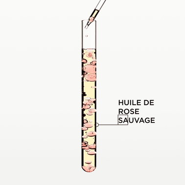 Gloss Absolu Huile Glaze Drops - NOUVEAU! Gloss Absolu | L'Oréal Partner Shop