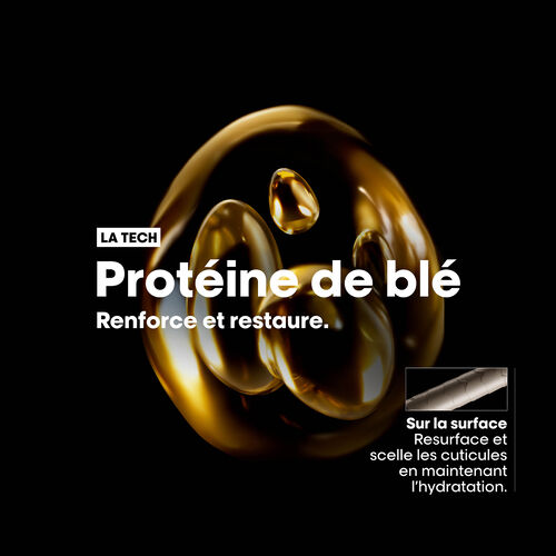 Recharge shampooing Absolut Repair - Recharges | L'Or&eacute;al Partner Shop