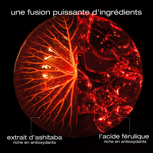 ashita supreme coffret des fêtes - nouveau! coffrets des fêtes | L'Oréal Partner Shop