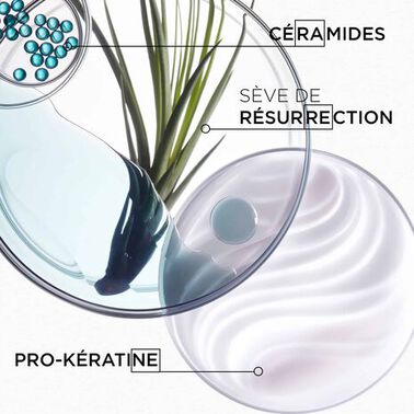Shampooing Bain Force Architecte - Recharge Shampooing Bain Force Architecte - Recharge | L'Oréal Partner Shop