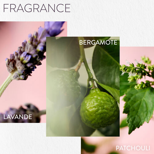 Masque traitement revitalisant profond Hydrate - Hydrate | L'Or&eacute;al Partner Shop