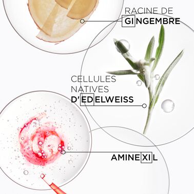 RECHARGE SHAMPOOING NUTRI-FORTIFIANT GENESIS - Soins capillaires | L'Oréal Partner Shop