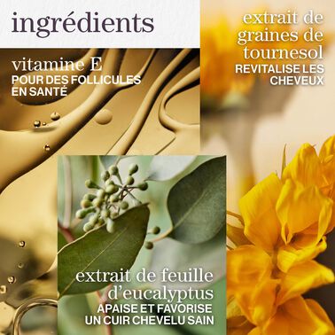 Coffret de printemps Pure Volume - NOUVEAU! Coffrets De Printemps | L'Oréal Partner Shop