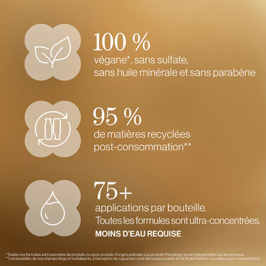 Coffret des fêtes Nanoworks - NOUVEAU! Coffrets des Fêtes | L'Oréal Partner Shop