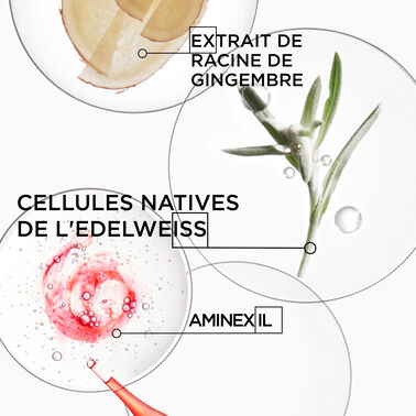 MASQUE RECONSTITUANT - Genesis | L'Oréal Partner Shop