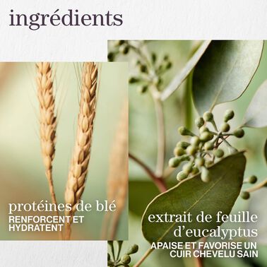 Coffret de printemps Hydrate Sheer - NOUVEAU! Coffrets De Printemps | L'Oréal Partner Shop