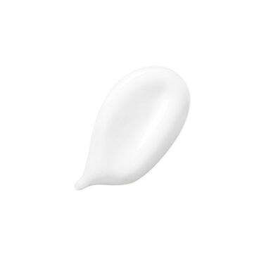 REVITALISANT FONDANT FLUIDÉALISTE - Discipline | L'Oréal Partner Shop