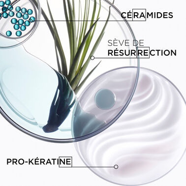 FORFAIT DE PRINTEMPS KÉRASTASE - RÉSISTANCE - NOUVEAU! Coffrets de printemps | L'Oréal Partner Shop