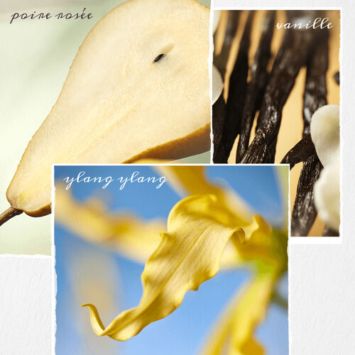 SHAMPOOING NANOWORKS GOLD - Soins capillaires | L'Or&eacute;al Partner Shop