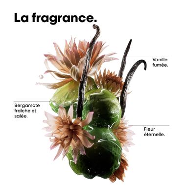 COFFRET DE PRINTEMPS ABSOLUT REPAIR MOLECULAR - NOUVEAU! Coffrets De Printemps | L'Oréal Partner Shop