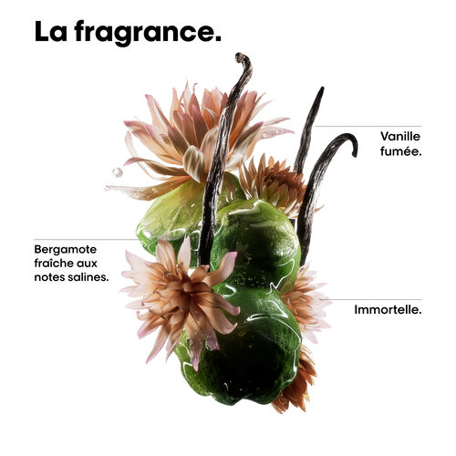 Huile Bi-Phase Absolut Repair Molecular - Absolut Repair Molecular | L'Or&eacute;al Partner Shop