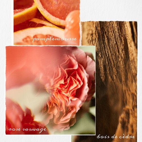 SHAMPOOING PURE VOLUME - VENDREDI FOU PUREOLOGY | L'Oréal Partner Shop