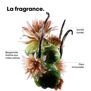 ABSOLUT REPAR MOLECULAR COFFRET MINI TRIO - Absolut Repair Molecular | L'Oréal Partner Shop
