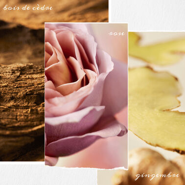 VAPORISATEUR SANS RINÇAGE MULTIFONCTION COLOR FANATIC - Color Fanatic | L'Oréal Partner Shop