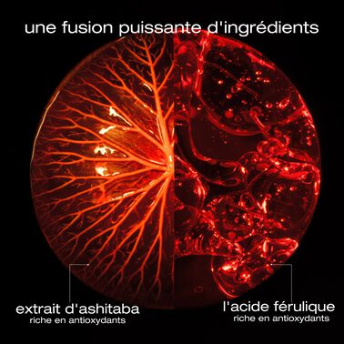 Sérum de Revitalisation intense - NOUVEAU! ashita supreme | L'Oréal Partner Shop