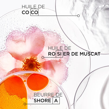 SHAMPOOING BAIN OLÉO-RELAX - Soins capillaires | L'Oréal Partner Shop