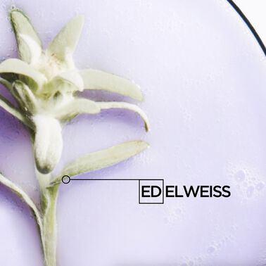 BLOND ABSOLU COFFRET DÉCOUVERTE - NOUVEAU! Coffrets des Fêtes | L'Oréal Partner Shop